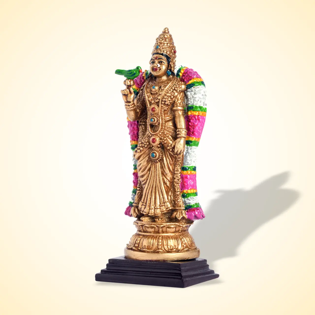 Meenakshi Colour