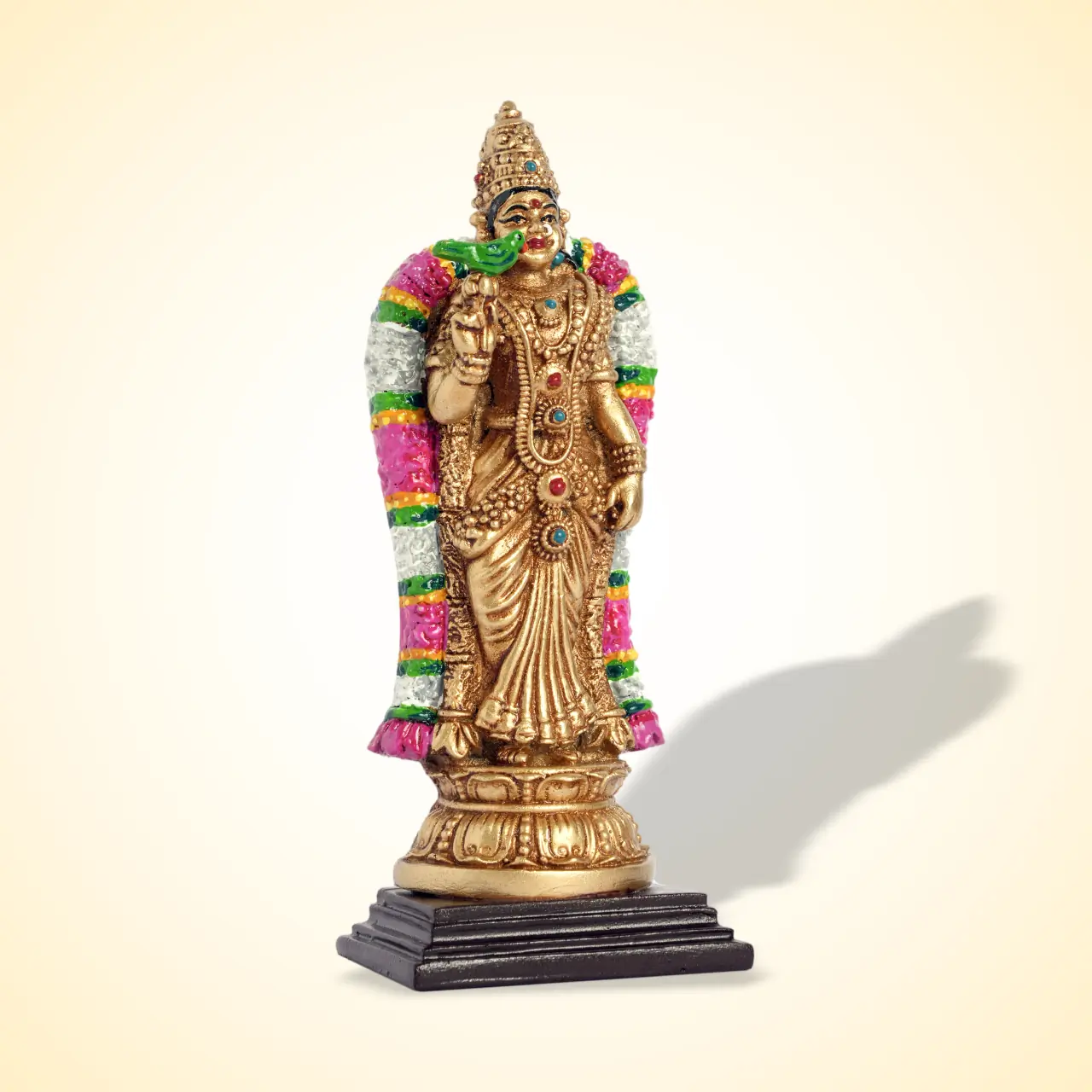 Meenakshi Colour